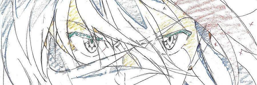 senketsuryuuko's profile banner image