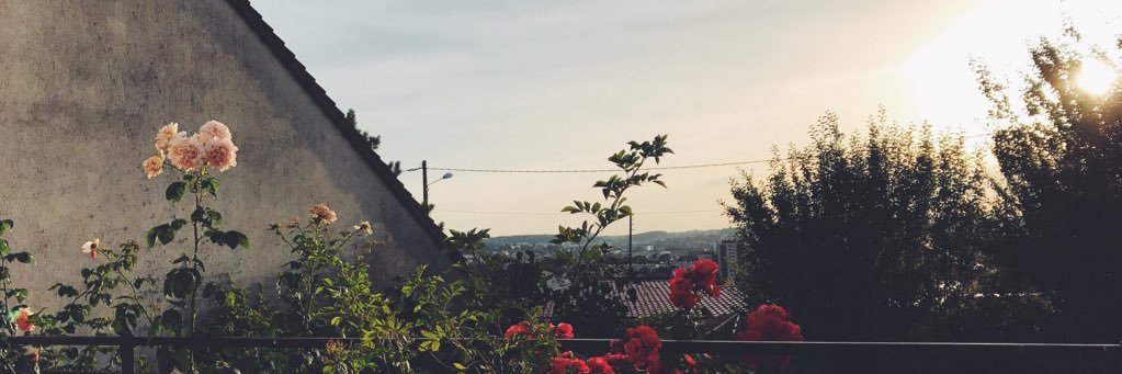 anna_vassar23's profile banner image