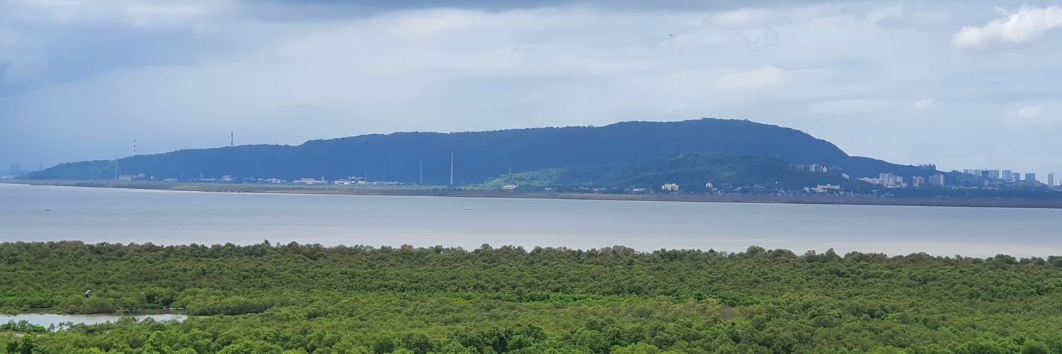 Prabhat Chaturvedi banner