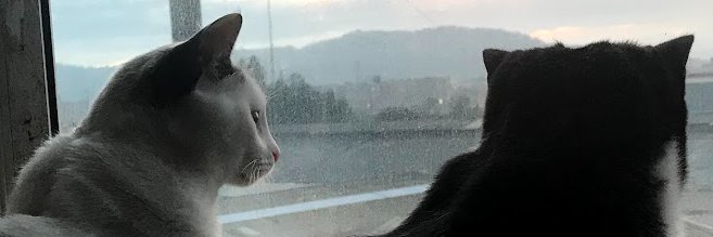 El café de John banner