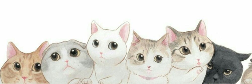 IranMed's profile banner image