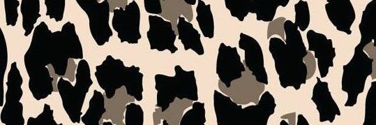 _marisa_barrett's profile banner image