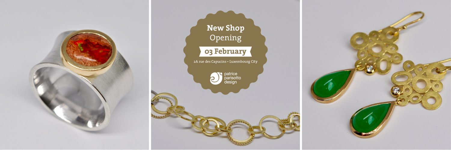 Patrice Parisotto banner