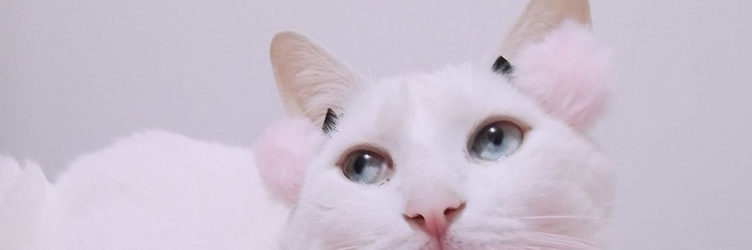 _miurc_'s profile banner image