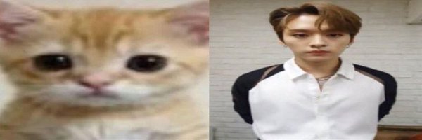 skdjog8 Profile Banner