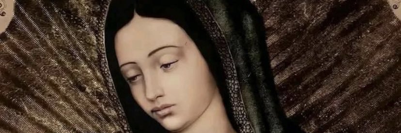 AnyPerry12's profile banner image