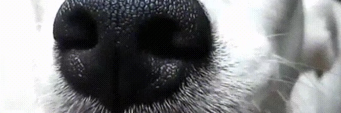 Robin Bartoletti banner