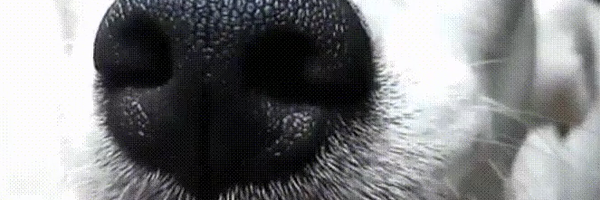 robinwb Profile Banner