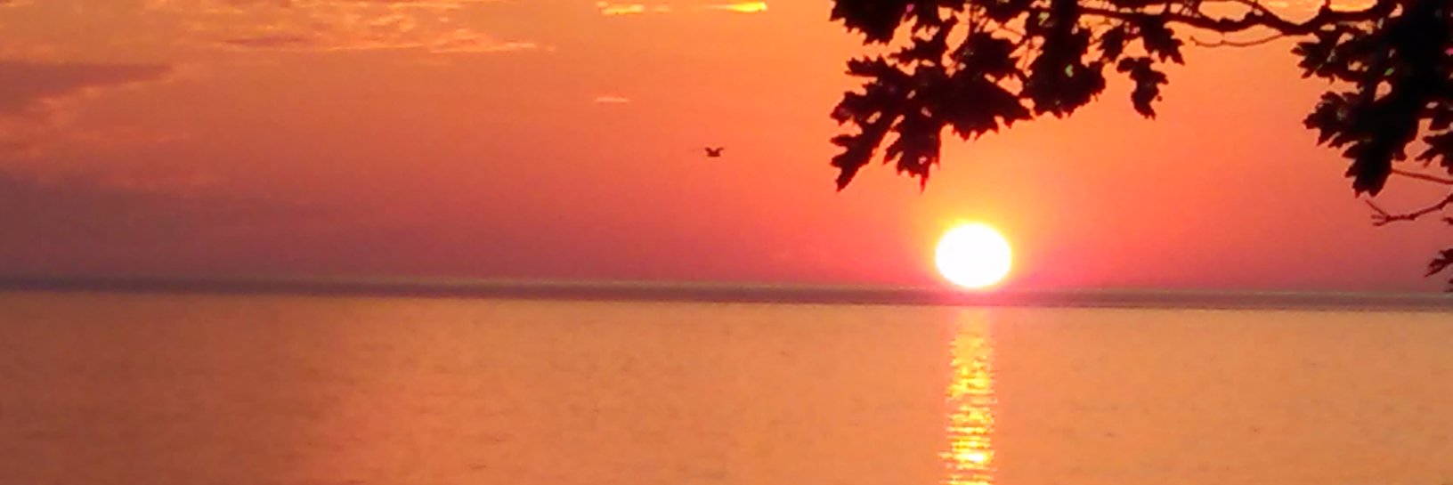MsKMSutherland's profile banner image