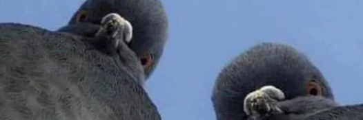 Syyy4444's profile banner image