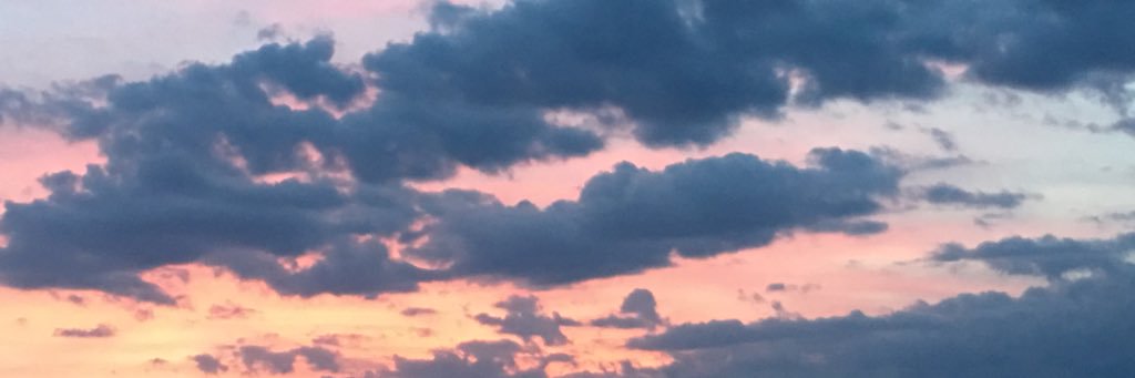 anitasanchez_01's profile banner image