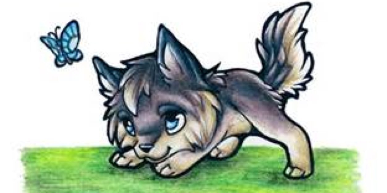 WolfTeru's profile banner image