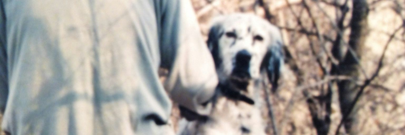 rick ágrafo banner