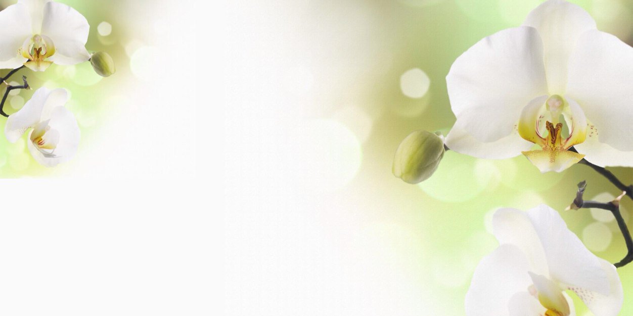 LilyValley0's profile banner image