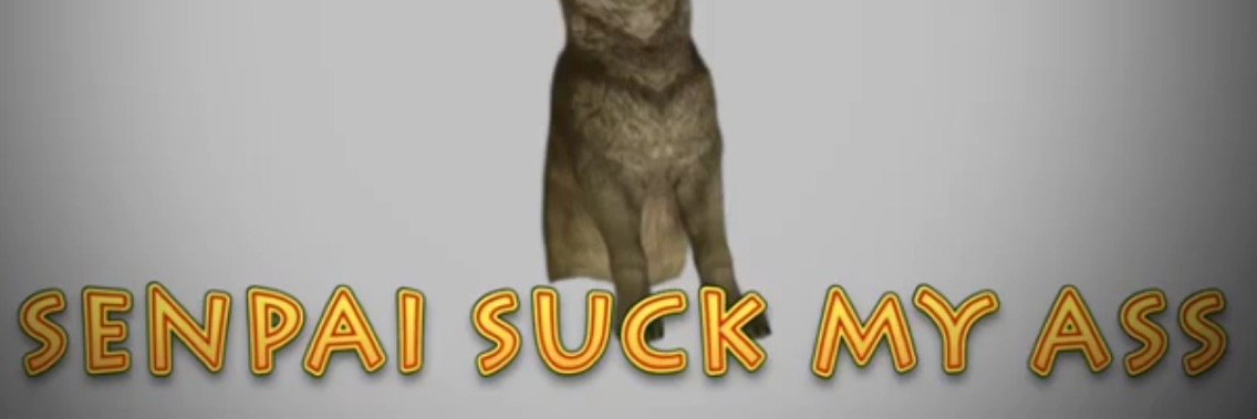 zburns01's profile banner image
