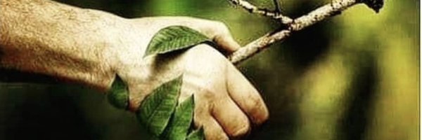 gapseracilarkop's profile banner image
