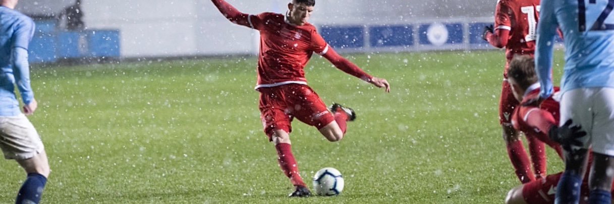 Josh Barnes banner
