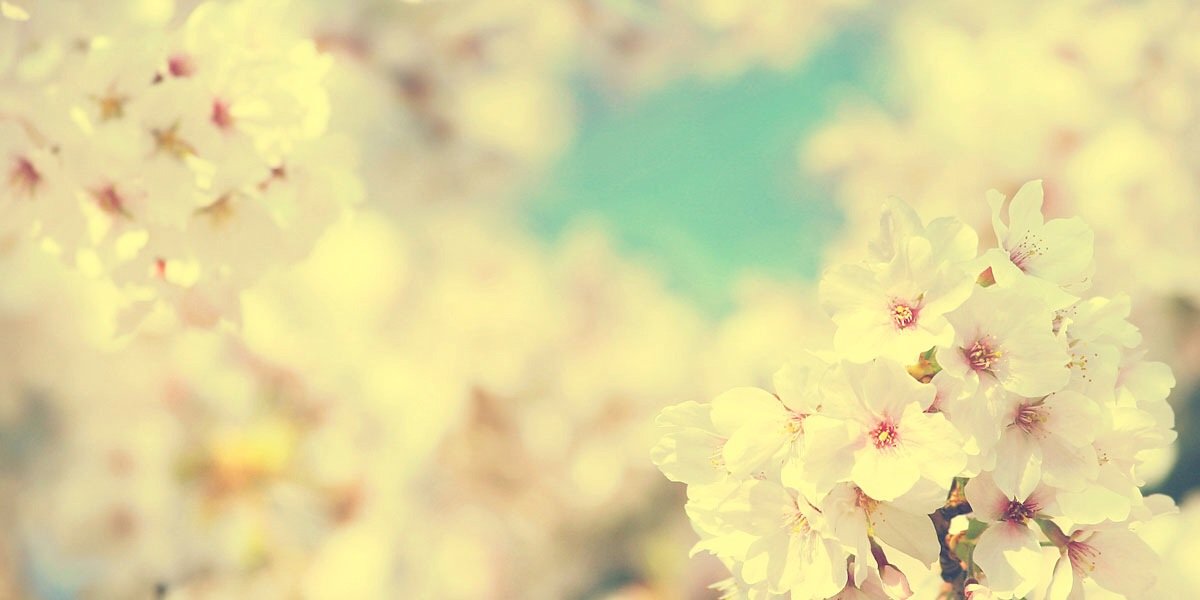 Smooshh's profile banner image