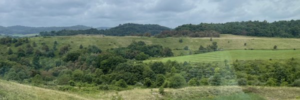 lisadimond Profile Banner