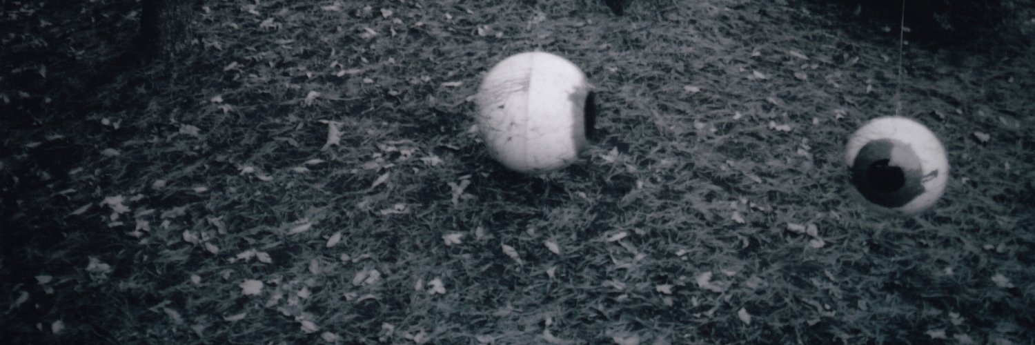 christopherleeh's profile banner image