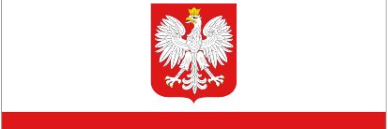 stewarty banner