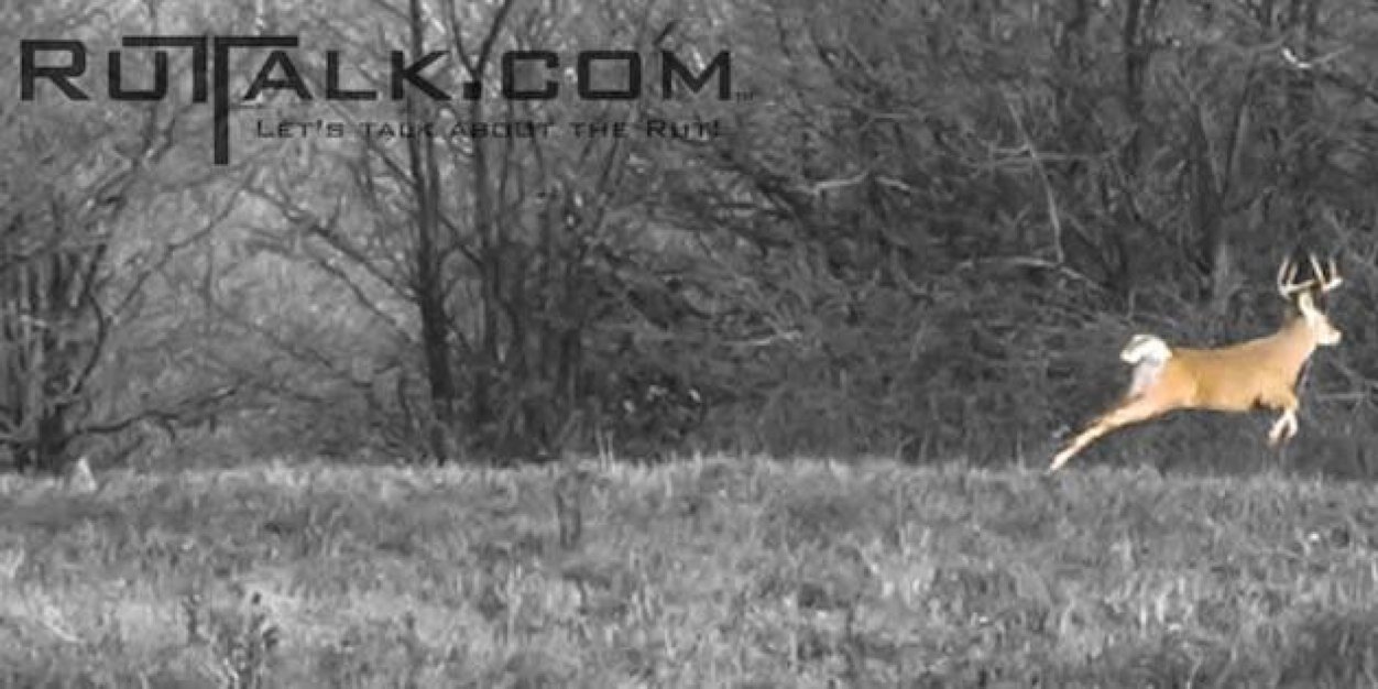 RutTalk's profile banner image