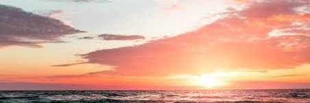 AllisonRM2020's profile banner image
