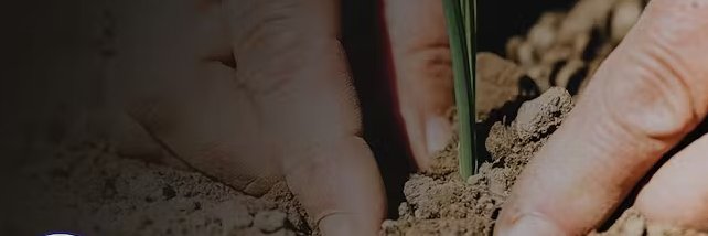 Darth Infernal banner