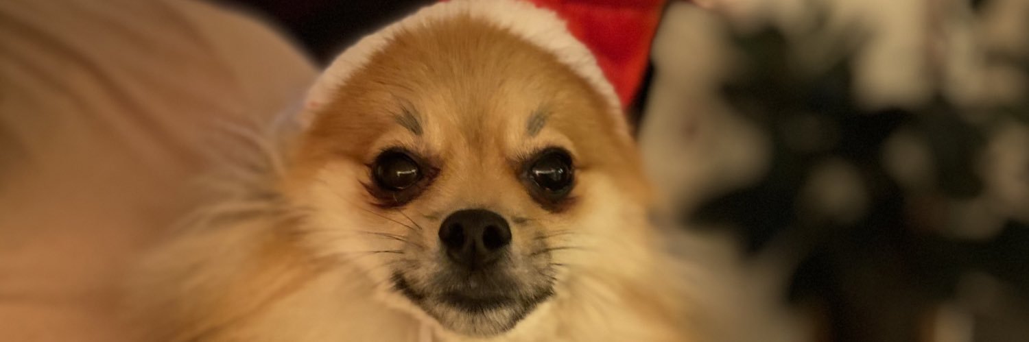 Destineeyy's profile banner image