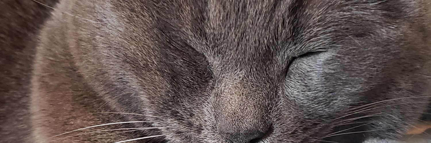 cloudbotherer69's profile banner image