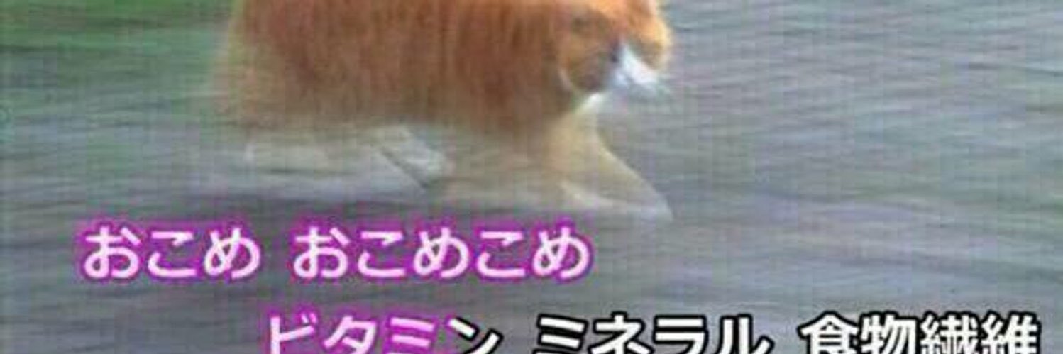 ごりりん＠弐寺 banner