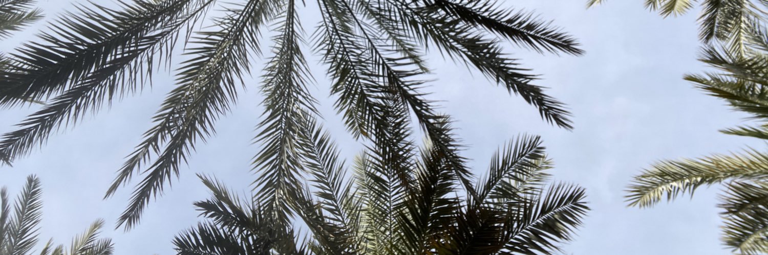Lma_s3ed's profile banner image