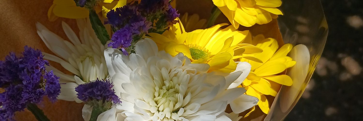 agostinasup's profile banner image