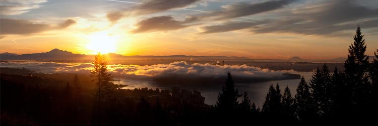 Jacqueline HY Siu banner