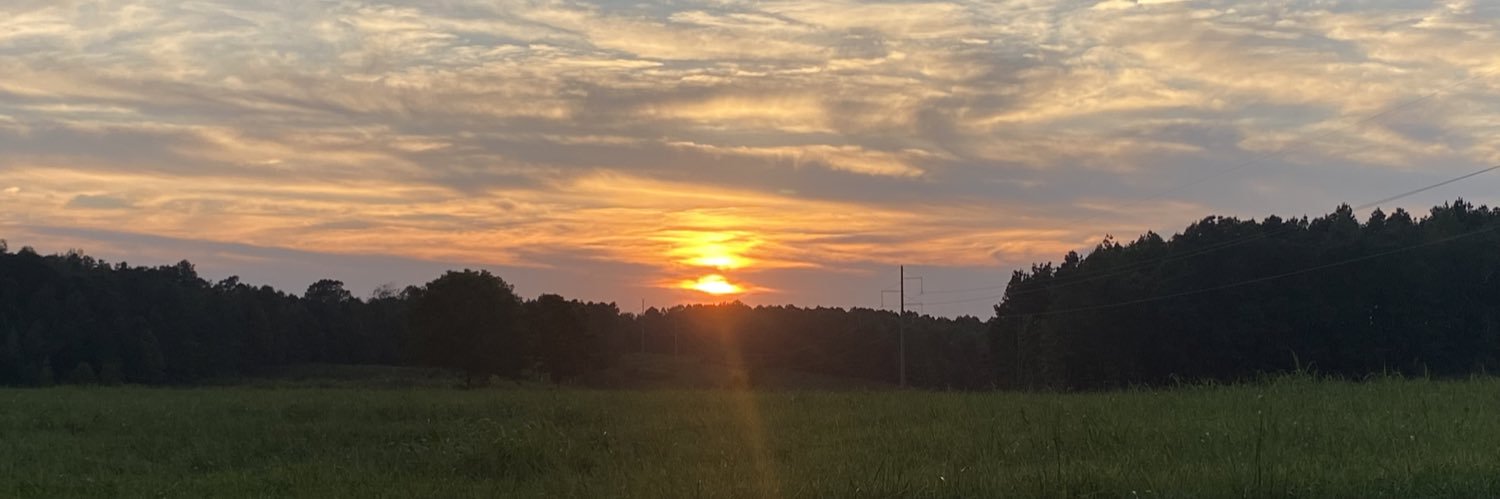 FrogLegJed's profile banner image