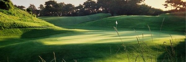 SWgolfers's profile banner image