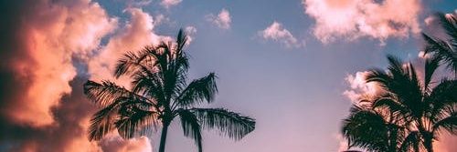 ednitalopez14's profile banner image