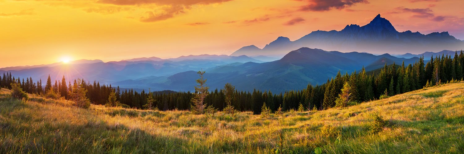 ranchflip's profile banner image