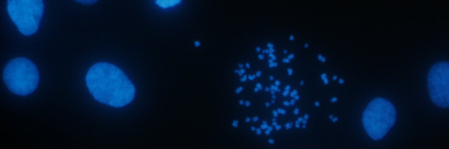 CBS_0624's profile banner image