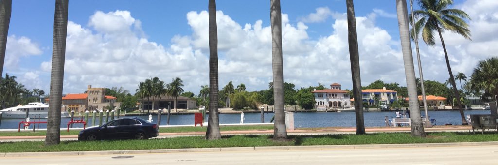 Delfinalatorree's profile banner image