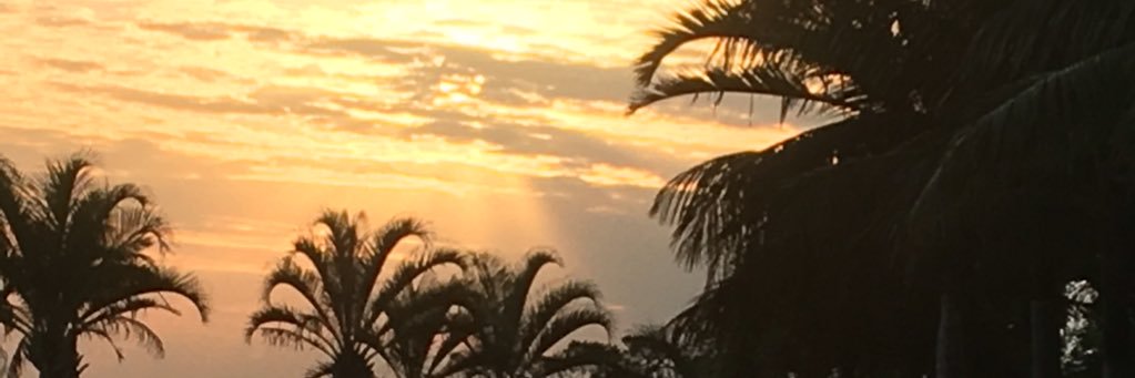 sepiagate's profile banner image