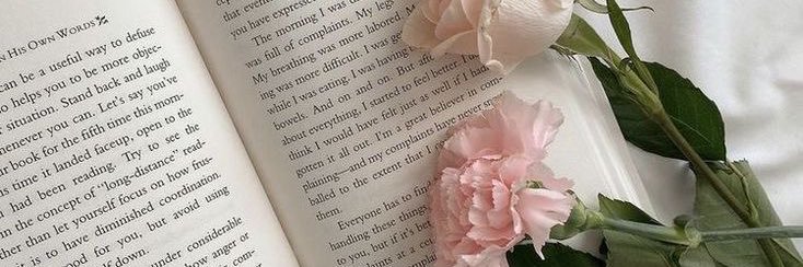 😽 banner
