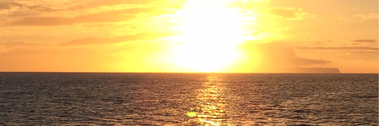 maryluttinen's profile banner image