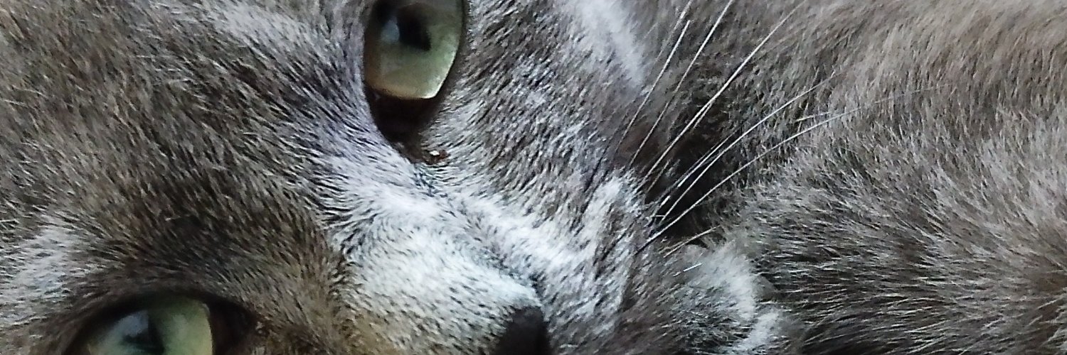 Fabys_Ludwig's profile banner image