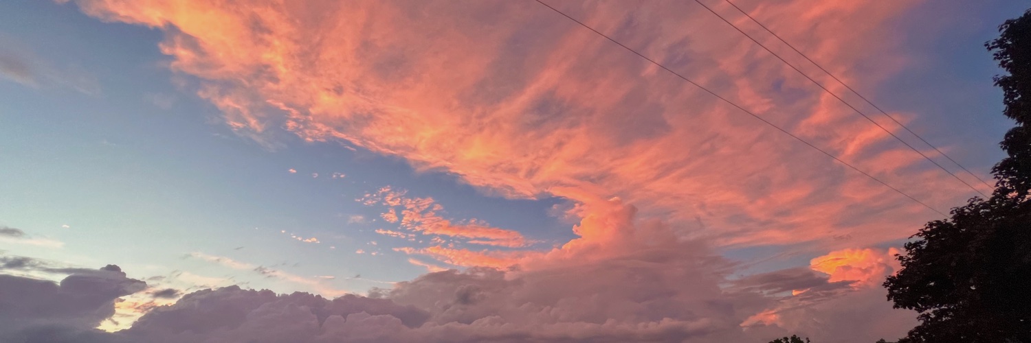 natalieejo's profile banner image