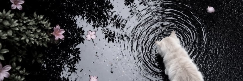 lliixe69's profile banner image