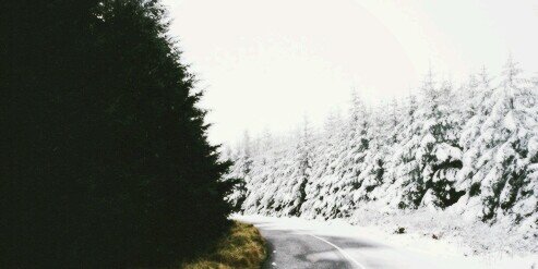 colfer2nvgdr's profile banner image