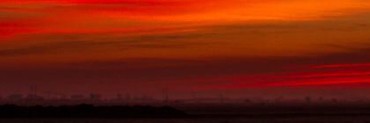 Javier Miranda banner