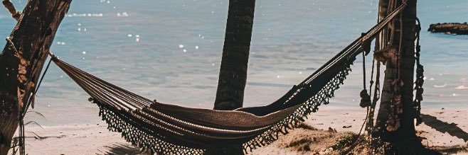 posts_bi's profile banner image