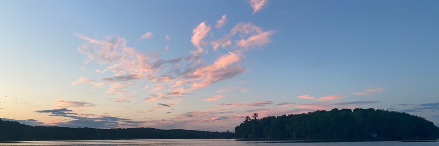 AllisonMendonca's profile banner image